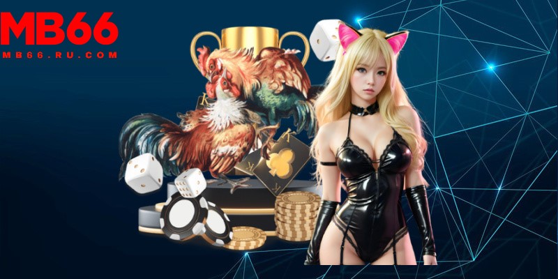 Nên quan sát thật kỹ về chiến kê trước khi đặt cược đá gà