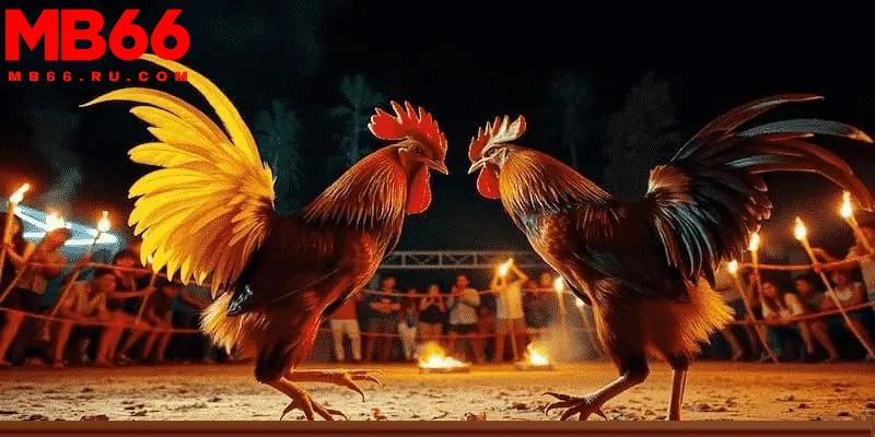 Sân chơi mở ra đa dạng kèo cược hấp dẫn